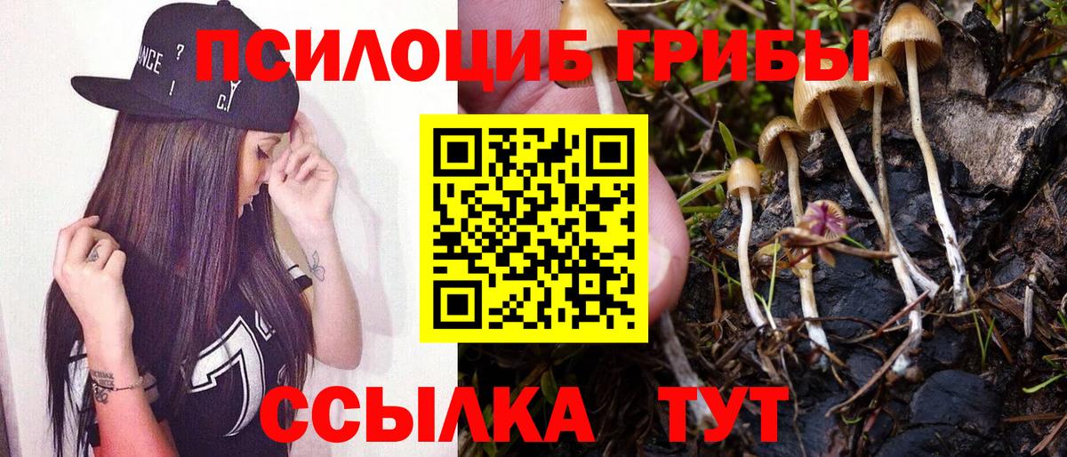 Галлюциногенные грибы Psilocybine cubensis Богородицк