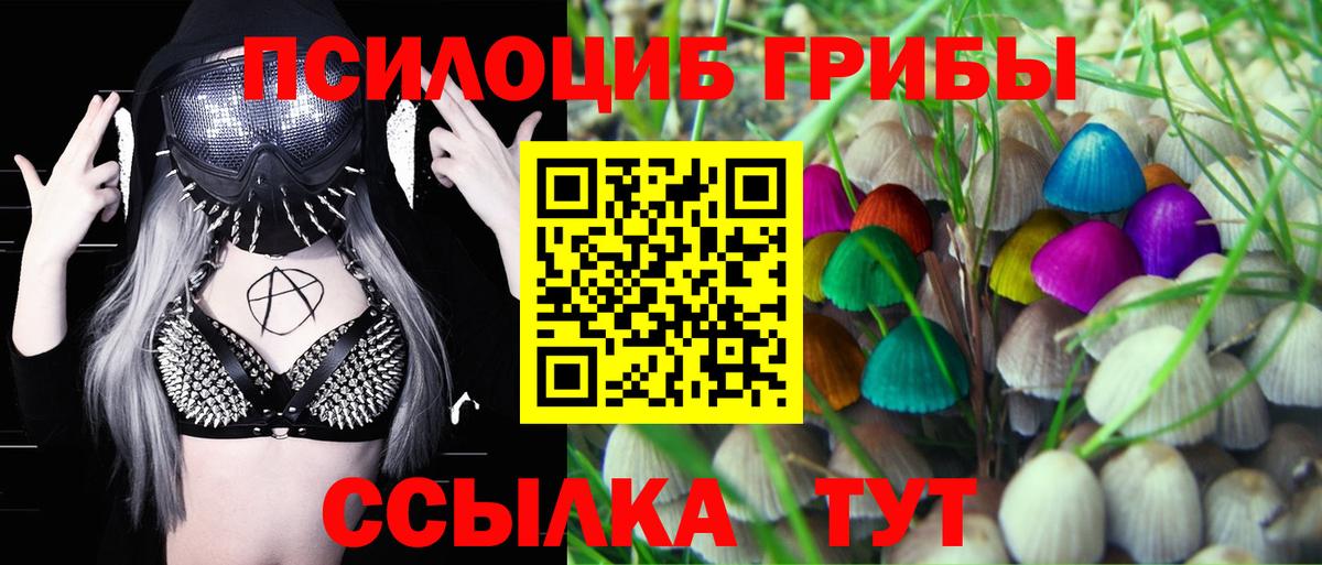 Псилоцибиновые грибы Cubensis  Вход с VPN  купить наркотик  Богородицк 